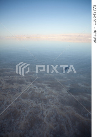 Evening landscape of the Dead Sea shore 116645778