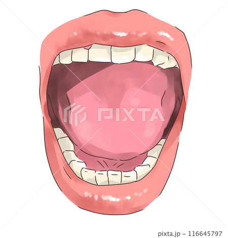 大きく開けた口元 116645797