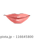 微笑む唇 116645800