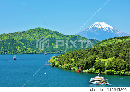 初夏の青空と新緑の箱根 そして富士山 初夏の青空と新緑の箱根 そして富士山 116645803