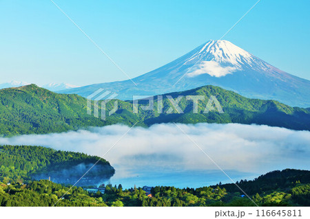 初夏の朝　箱根からの富士山と雲海 116645811