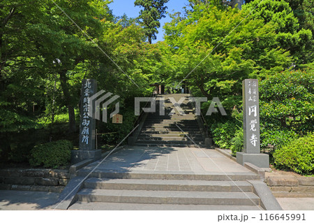 円覚寺　総門 116645991