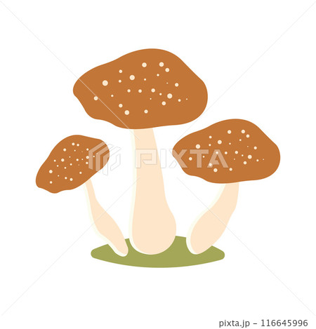 Cute Mushroom Polka Dots Fungi Fungus Food Vector Illustration Sticker Cute Mushroom Polka Dots Fungi Fungus Food Vector Illustration Sticker 116645996