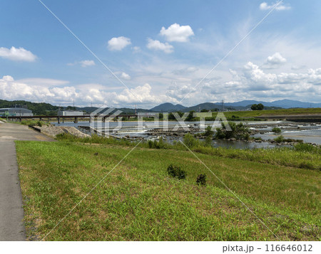 夏の空が広がる大和川沿いの景色 116646012