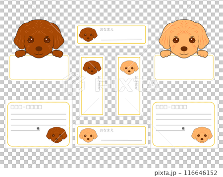 Labels for 4 types and 2 colors of toy poodle puppies Labels for 4 types and 2 colors of toy poodle puppies 116646152