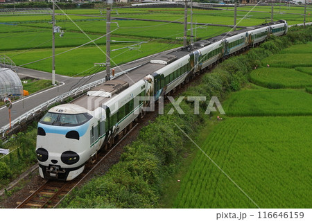 田園風景と「パンダくろしおスマイルアドベンチャートレイン」和歌山県西牟婁郡すさみ町 田園風景と「パンダくろしおスマイルアドベンチャートレイン」和歌山県西牟婁郡すさみ町 116646159