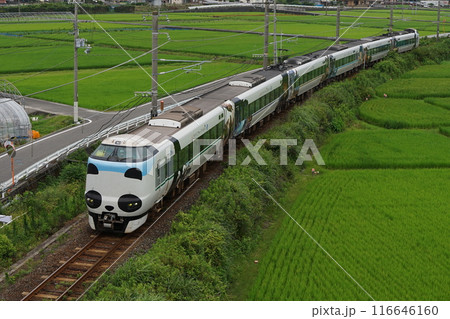 田園風景と「パンダくろしおスマイルアドベンチャートレイン」和歌山県西牟婁郡すさみ町 116646160