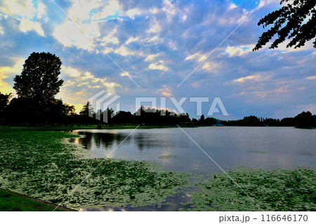 東京 都立水元公園 曇り空の夕刻 天使の梯子の風景 東京 都立水元公園 曇り空の夕刻 天使の梯子の風景 116646170