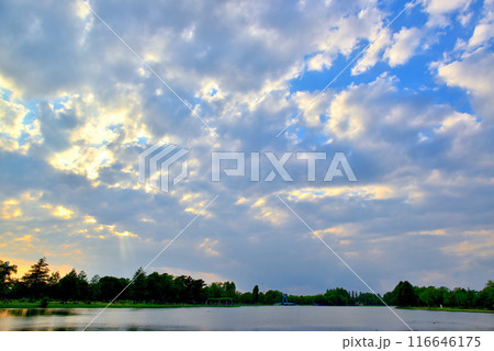 東京 都立水元公園 曇り空の夕刻 天使の梯子の風景 東京 都立水元公園 曇り空の夕刻 天使の梯子の風景 116646175