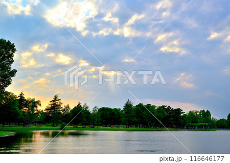 東京 都立水元公園 曇り空の夕刻 天使の梯子の風景 東京 都立水元公園 曇り空の夕刻 天使の梯子の風景 116646177