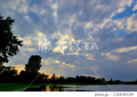 東京 都立水元公園 曇り空の夕刻 天使の梯子の風景 東京 都立水元公園 曇り空の夕刻 天使の梯子の風景 116646194