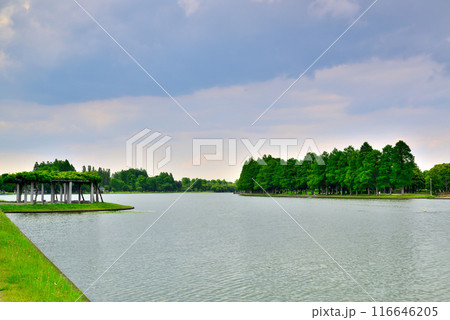 東京 都立水元公園 曇り空の夕刻 天使の梯子の風景 東京 都立水元公園 曇り空の夕刻 天使の梯子の風景 116646205