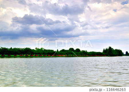 東京　みさと公園 曇り空の夕刻の風景 116646263