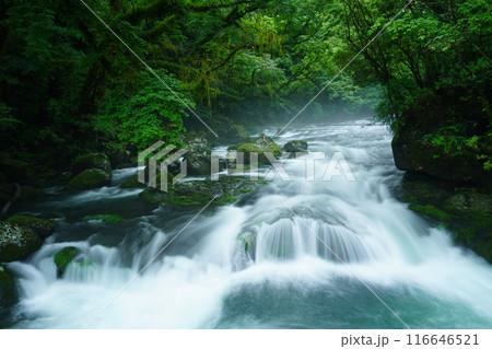 菊池渓谷の絶景 菊池渓谷の絶景 116646521