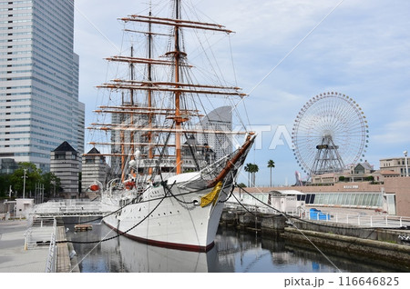 横浜市西区みなとみらい　日本丸メモリアムパークと日本丸 116646825