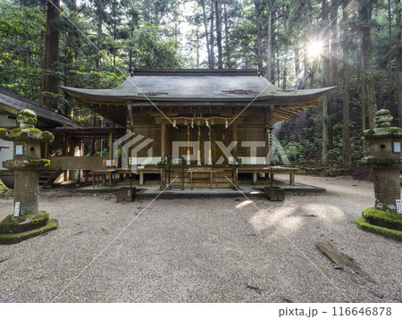 朝日が射し込む室生龍穴神社の拝殿 116646878