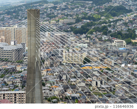 阪神高速道路の新猪名川大橋主塔と街の風景 116646936