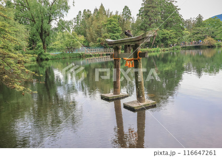 Torii on Kinrin Lake in Yufuin, Oita, Japan May 15 2024 Torii on Kinrin Lake in Yufuin, Oita, Japan May 15 2024 116647261