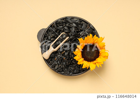 Sunflower seeds, concept of harvest, tasty snack Sunflower seeds, concept of harvest, tasty snack 116648014