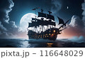 夜の海に浮かぶ海賊船 116648029