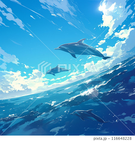 空を泳ぐイルカ 空を泳ぐイルカ 116648228