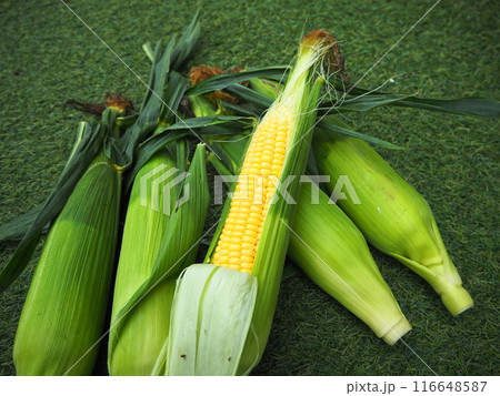 新鮮なトウモロコシ 116648587