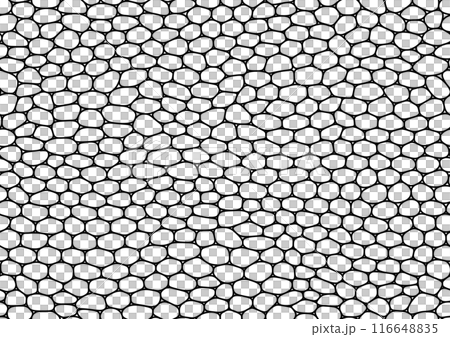 Seamless mesh pattern resembling stone walls or reptile leather 116648835