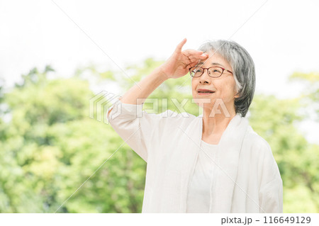 新緑の公園にいる笑顔のシニア女性 116649129