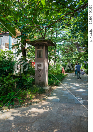 花のみち 116649199