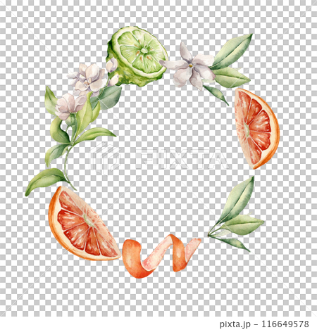 Grapefruit and bergamot citrus fruits with jasmine flowers watercolor isolated wreath. Hand drawn summer plants with bright orange green peel in botanical sketch style for aroma products label 116649578