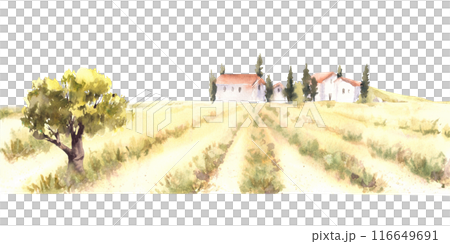 Watercolor Landscape with old farm houses, trees and harvest fields, fruit bushes and hills Rural nature, summer countryside Hand painted illustration on isolated background for card, banner, template 116649691