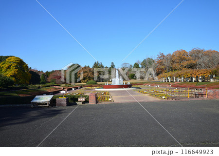 茨城県植物園　2023-11-28　＃139 116649923