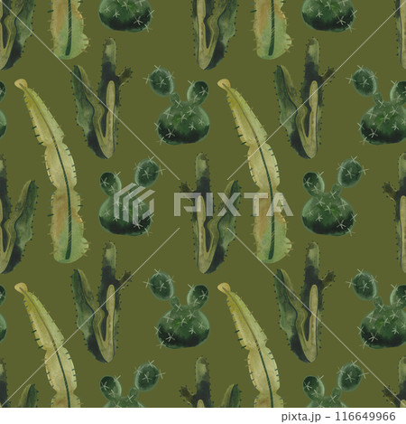 Cacti. Seamless watercolor pattern for wrapping paper, wallpaper and textiles. 116649966