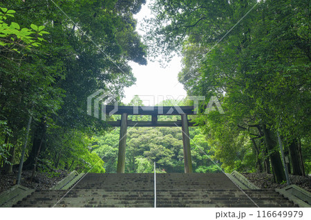 近江神宮　二の鳥居（滋賀県大津市） 116649979