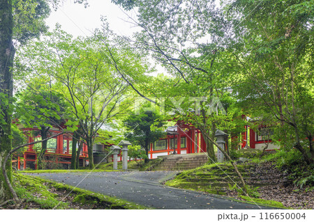 近江神宮 北神門(滋賀県大津市) 近江神宮 北神門(滋賀県大津市) 116650004