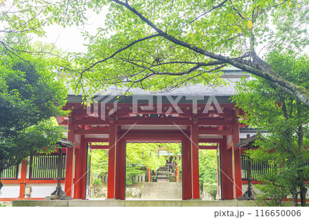 近江神宮　北神門（滋賀県大津市） 116650006