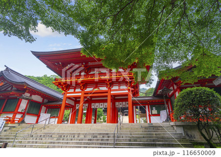 近江神宮　楼門（滋賀県大津市） 116650009