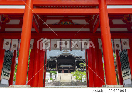 近江神宮 楼門(滋賀県大津市) 近江神宮 楼門(滋賀県大津市) 116650014