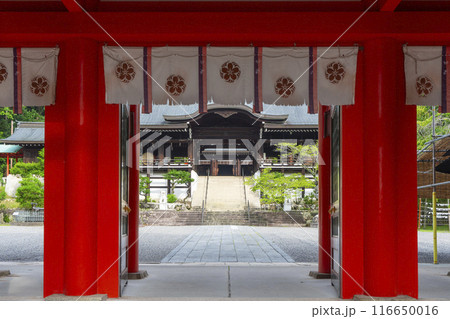 近江神宮 楼門(滋賀県大津市) 近江神宮 楼門(滋賀県大津市) 116650016