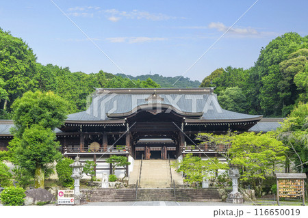 近江神宮 外拝殿(滋賀県大津市) 近江神宮 外拝殿(滋賀県大津市) 116650019