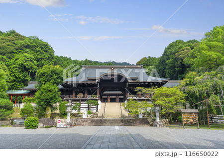 近江神宮　外拝殿（滋賀県大津市） 116650022