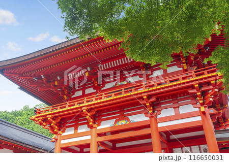 近江神宮 楼門(滋賀県大津市) 近江神宮 楼門(滋賀県大津市) 116650031