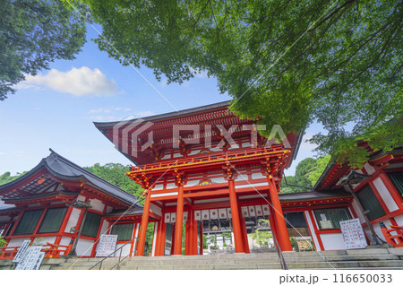 近江神宮　楼門（滋賀県大津市） 116650033