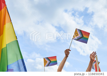 Pride Celebration. Rainbow Flag in the Sky Pride Celebration. Rainbow Flag in the Sky 116650341