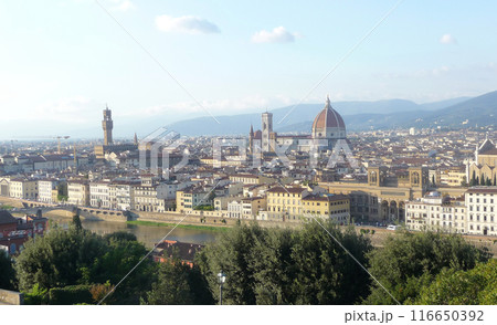 Florence, Tuscany, Italy Florence, Tuscany, Italy 116650392
