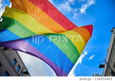 Rainbow Flag in the Sky 116650401