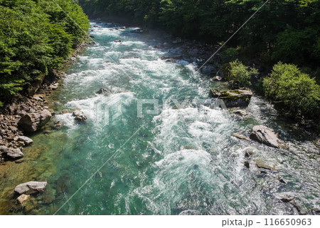 《エメラルドグリーンの渓流》馬瀬川上流・岐阜県 《エメラルドグリーンの渓流》馬瀬川上流・岐阜県 116650963