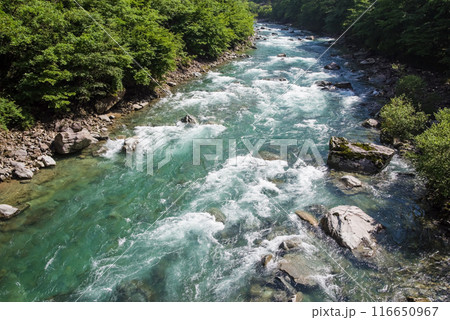 《エメラルドグリーンの渓流》馬瀬川上流・岐阜県 《エメラルドグリーンの渓流》馬瀬川上流・岐阜県 116650967