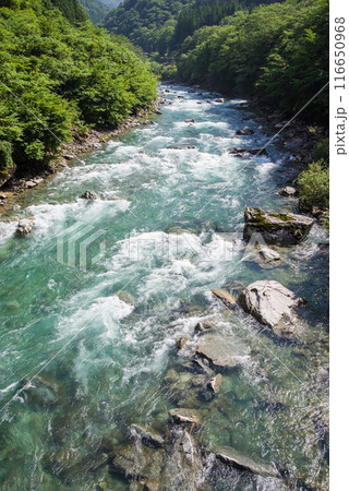 《エメラルドグリーンの渓流》馬瀬川上流・岐阜県 《エメラルドグリーンの渓流》馬瀬川上流・岐阜県 116650968
