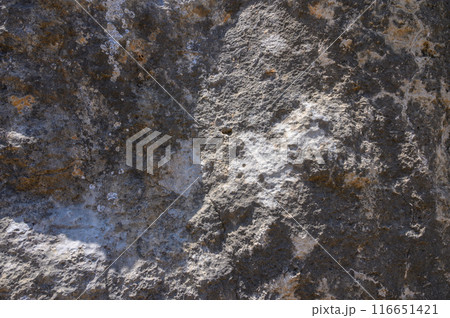 Background texture of stone sandstone surface 116651421